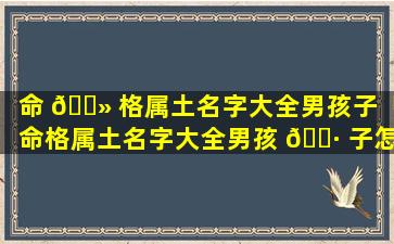 命 🌻 格属土名字大全男孩子「命格属土名字大全男孩 🌷 子怎么取」